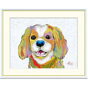 zG R LoA f8Ef6Ef4TCY yԂ Misaki gk-a5-j3r004ip78j iJ3-R004j isj A[g CeA