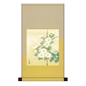 F| Ԓ Hyc|ze ȃfUCF| ka2hem-022/k5-016c HFZbgysz