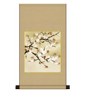 �F���| ���� �͎ʕ����� ���R��� [��] �������ȐF���|��+�F���Z�b�g [NT3HEM-009] ���ϔ����[