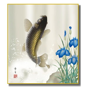 FG [߂̐ߋ [] kRFH|F [KST-033] ܌l`