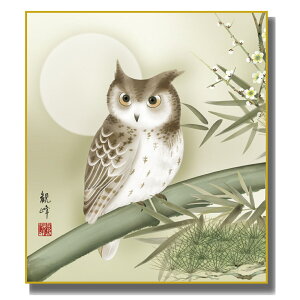 FG J^ [ɞ] Rϕ FH|F [K9-069]