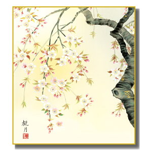 FG ݂₰F i [ࣖ] XRό FH|F [K5-010]