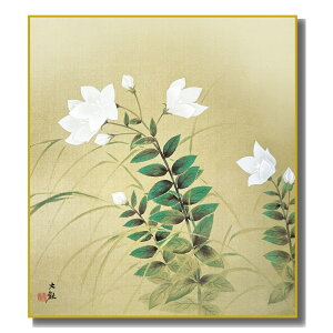 FG ͎ʕʉ R [j[] FH|F [K10-063] ϖI