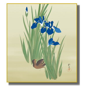 FG ͎ʕʉ  [qԂɐ{}] FH|F [K10-080] ꖼI