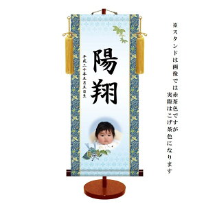 ʐ^ | _FT yoz[߂̐ߋ ptb-005 [s]