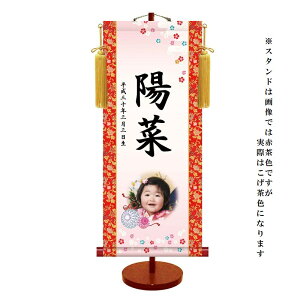 ʐ^ | _FT yKfz̐ߋ ptg-005 [s]