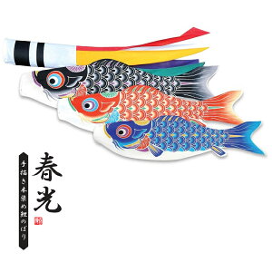 i ̂ڂ 뉀p X^hZbg i܁j|[tZbg 3m3C`FT t H {̓` ̂ڂ