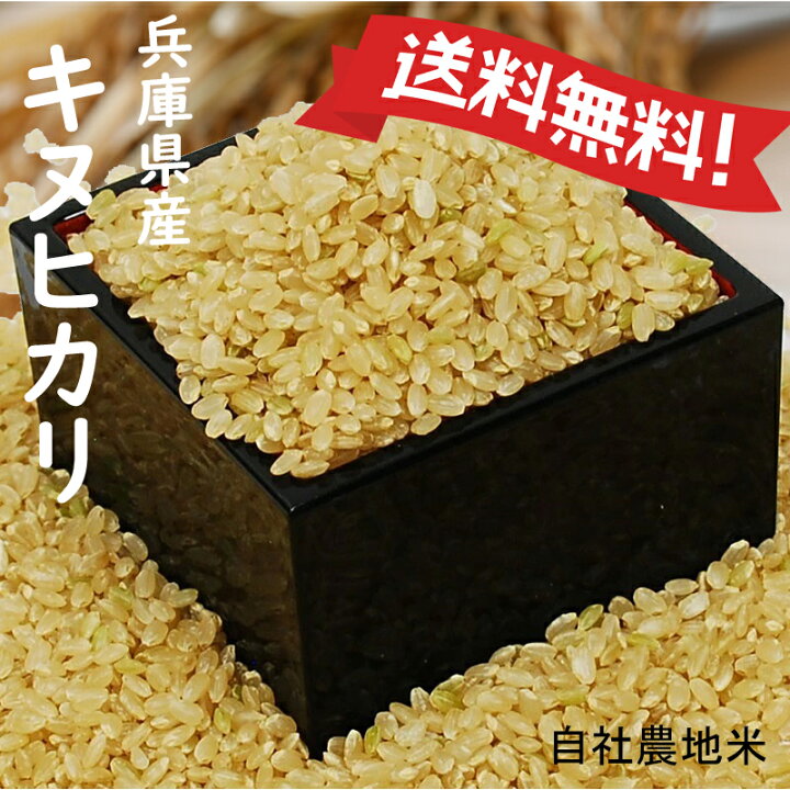 楽天市場】お米 キヌヒカリ 令和6年産 兵庫県産 減農薬 ネオニコチ 