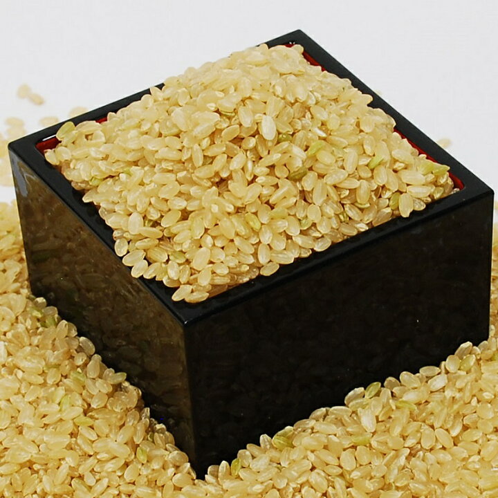 楽天市場】玄米30kg 令和5年産 兵庫県産 キヌヒカリ 送料無料（一部 