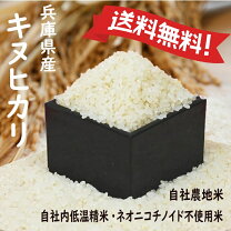 楽天市場】米 5kg（品種（米）キヌヒカリ）（食品）の通販