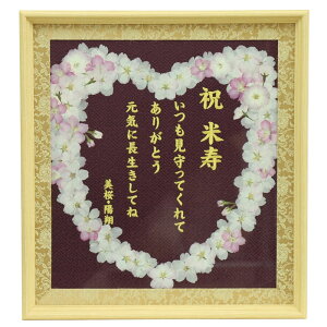  O z  F n CG[hJ bZ[W z z z җEÊEEĎEEES 38.8cm (f-mura)