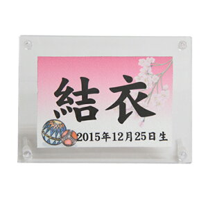 l` P[X   e 퐻 hgP[X 2024-yg148 31cm P[X 2l ЂȐl` l ̐ߋ ߋ j CeA