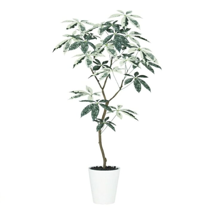 楽天市場】人工観葉植物 パキラ ミルキーウェイ FST 120 ポット付き 高 