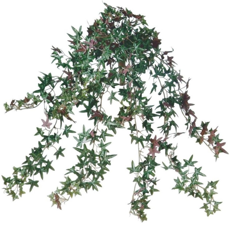 人工観葉植物 うら紫アイビー ブッシュ 長さ66cm （P143-92238) （代引き不可） インテリアグリーン フェイクグリーン  造花・人工観葉植物