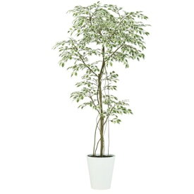 人工観葉植物 スターライト FST 180 ポット付き 高さ180cm （P55-99392) （代引き不可） インテリアグリーン フェイクグリーン
