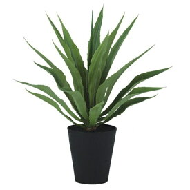 人工観葉植物 アガベ・アメイカーナ 80 ポット付き 高さ80cm （P65-99406) （代引き不可） インテリアグリーン フェイクグリーン
