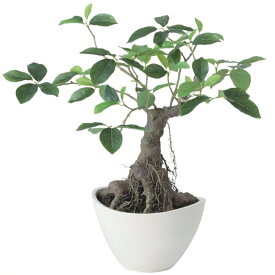 人工観葉植物 ガジュマル ボウル ポット付き 高さ50cm （P121-99524) （代引き不可） インテリアグリーン フェイクグリーン