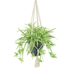 人工観葉植物 オリヅルラン G/Y ハンキング ポット付き 高さ25×長さ30（総全長約75）cm （P117-99547) （代引き不可） インテリアグリーン フェイクグリーン