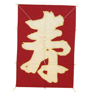 CeA `a p c45×30cmyw-1010z  Ǌ|E {̓`