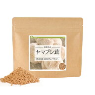山伏茸 ヤマブシ茸 純度100%パウダー 100g きのこ 粉末 パウダー βグルカン ヤマブシタケ ウサギタケ ベ…