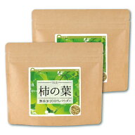 【予約：10月初旬以降順次発送】柿の葉 国産 純度100%パウダー 200g(100g×2個) 柿の葉茶 柿茶 柿 カキ …