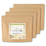 ハナビラ茸 純度100%パウダー 40g×4個 送料無料 山梨県産 はなびらたけ ハナビラタケ キノコ お茶 健康…