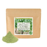 ブロッコリースプラウト 純度100%パウダー 九州産 60g 送料無料 健康茶 粉 粉末 粉末茶 国産 スルフォラ…