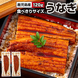 【ポイント2倍】 うなぎ 国産 ギフト お歳暮 鰻 2尾/4尾/5尾 鹿児島 大隅産 120g ウナギ 蒲焼き 送料無料 プレゼント 誕生日 うなぎ蒲焼き 冷凍 unagi 産地直送 御歳暮 土用の丑の日 内祝い お返し
