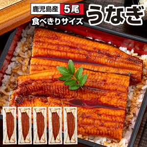 Ȃ Y Mtg Ε V 2/4/5  Y 120g EiM Ă  v[g a ȂĂ Ⓚ unagi Yn Ε yp̉N̓ j Ԃ