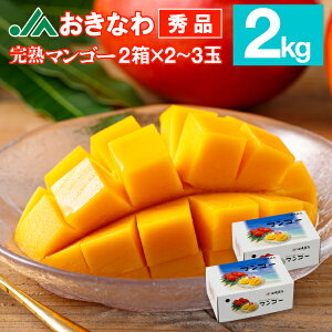 �}���S�[ ���� �G�i �M�t�g JA�����Ȃ� 800g/1kg/2kg ���n�}���S�[ �A�b�v���}���S�[ �������� ������ �t���[�c mango �Y�n���� ���Y ������ 7/10�ȍ~�����o��