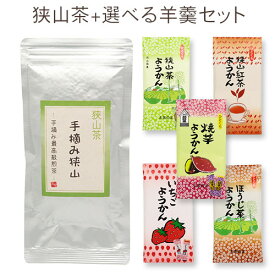 手摘み狭山〜手摘み最高級煎茶〜（100g）+羊かん / 埼玉県産 / 狭山茶 / 日本茶 /緑茶 / グリーンティー / 保存用チャック付き / ようかん / 羊羹 / セット商品