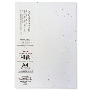Rs[ v^p a  咼 ⍻q玆 A4 20×4Zbg / A ē ҏ   j[p p tH[} a CNWFbgp Rs[p [