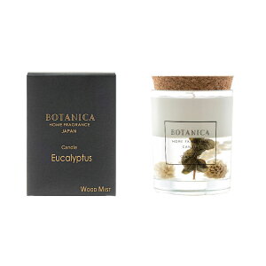 BOTANICAi{^jJjWOOD MISTiEbh~XgjLh | n[oE / A} / tOX /  / i` / Ebh / OLD&NEW / I[hAhj[yE ͂sz