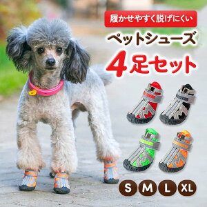 y5P10{UPIMAX2000~OFFzhbOV[Y  C ybgV[Y \bNX h U C EȂ S ^ U pV[Y }WbNe[v Eɂ ~ 