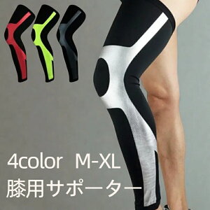 GpT|[^[ O Бp jp Y fB[X \h ی Ђ  ӂ͂ X|[c AEghA ^ jO oXP TbJ[