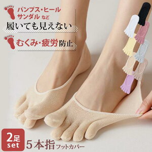 2Zbg 5{w\bNX ܖ{wC tbgJo[ fB[X X|[c  Ԃ ėp  󗚂 EȂ   