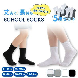 スクールソックス 5足組 子供 靴下 クルー アンクル メッシュ オールシーズン 夏 白 黒 グレー パンダソックス キッズ 男の子 女の子 制