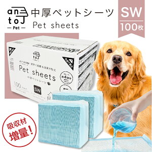 y15%OFFN[|P5{}\ԌzyA^C1ʁIzyybgV[cz antoj X[p[Ch100 zޑ ĝ RpNg gCV[g ybgV[g  L e 