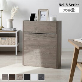 ケーブルボックス 〔 大容量タイプ グレージュ 〕 幅45cm 収納ボックス コード収納 収納家具 ケーブル収納ボックス 電源タップ収納 ケーブルタップ収納 配線収納ボックス コードケース 【送料無料】【北海道沖縄離島配送不可】