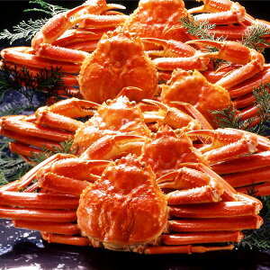 yg蔲QAiIzJi_Y{CYCKjpE500g×6 ⓀYCIyszyzykCꗣzsz