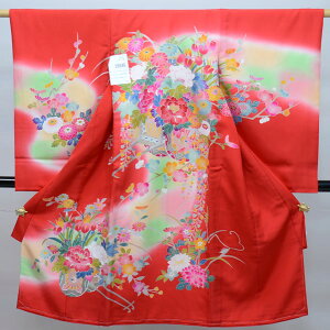 {QY  ̎q  ̂ j  g   {i Hd ԐF Viijc NO26848