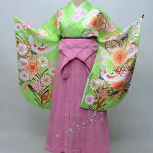 уZbg WjAp֒144cm`150cm From KYOTO ƎɂǂI Vi ijc NO22922-03