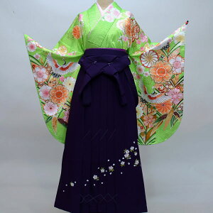 уZbg WjAp֒135cm`143cm From KYOTO ƎɂǂI Vi ijc NO23943-02