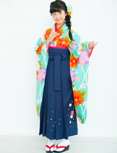 уZbg WjAp 145cm`154cm uhF ܂̐F͔n ƎɂǂI Vi ijc NO26070