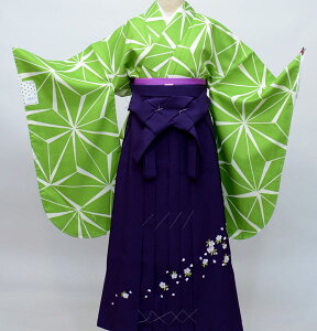 уZbg WjAp֒144cm`150cm ANEN ̗t ΐF n͓{ ѕύX\ Viijc NO26097-03