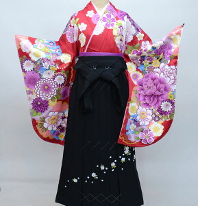 �����уZ�b�g �W���j�A�p�֒���135cm�`143cm From KYOTO �V�i�i���j���c�� NO26786-02