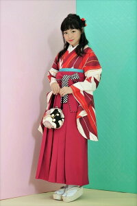 уZbg WjAp 145cm`154cm uh  H R Rn ƎɂǂI Vi ijc NO29686