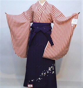 уZbg WjAp֒ 135cm`143cm n͓{ ×x[W ѐFύX\ Viijc NO31330-02