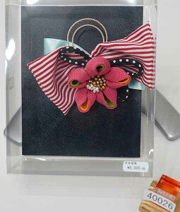  ԏ Ԍn ܂ݍ׍H { { l 񂴂 l U  Ǝ  Viijc NO40026