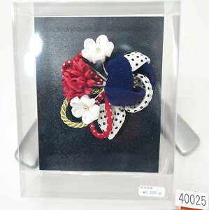  ԏ × ܂ݍ׍H  { l 񂴂 l U  Ǝ  Viijc NO40025